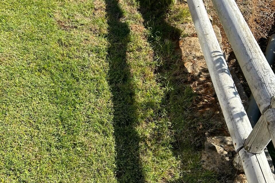 Jardín doméstico con aplicación de Pasto Verde