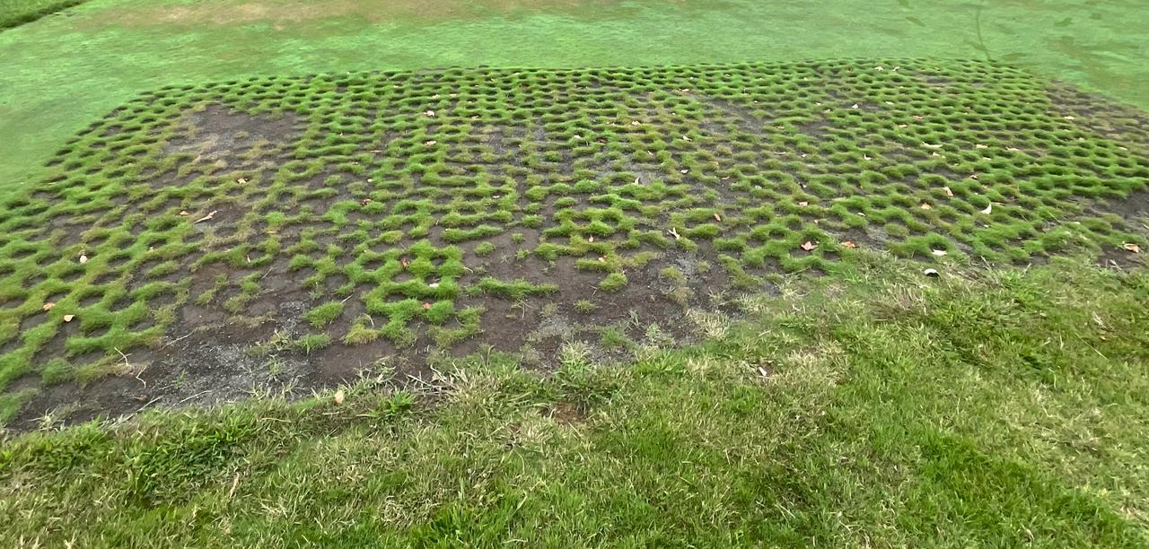 Green con aplicación de Pasto Verde