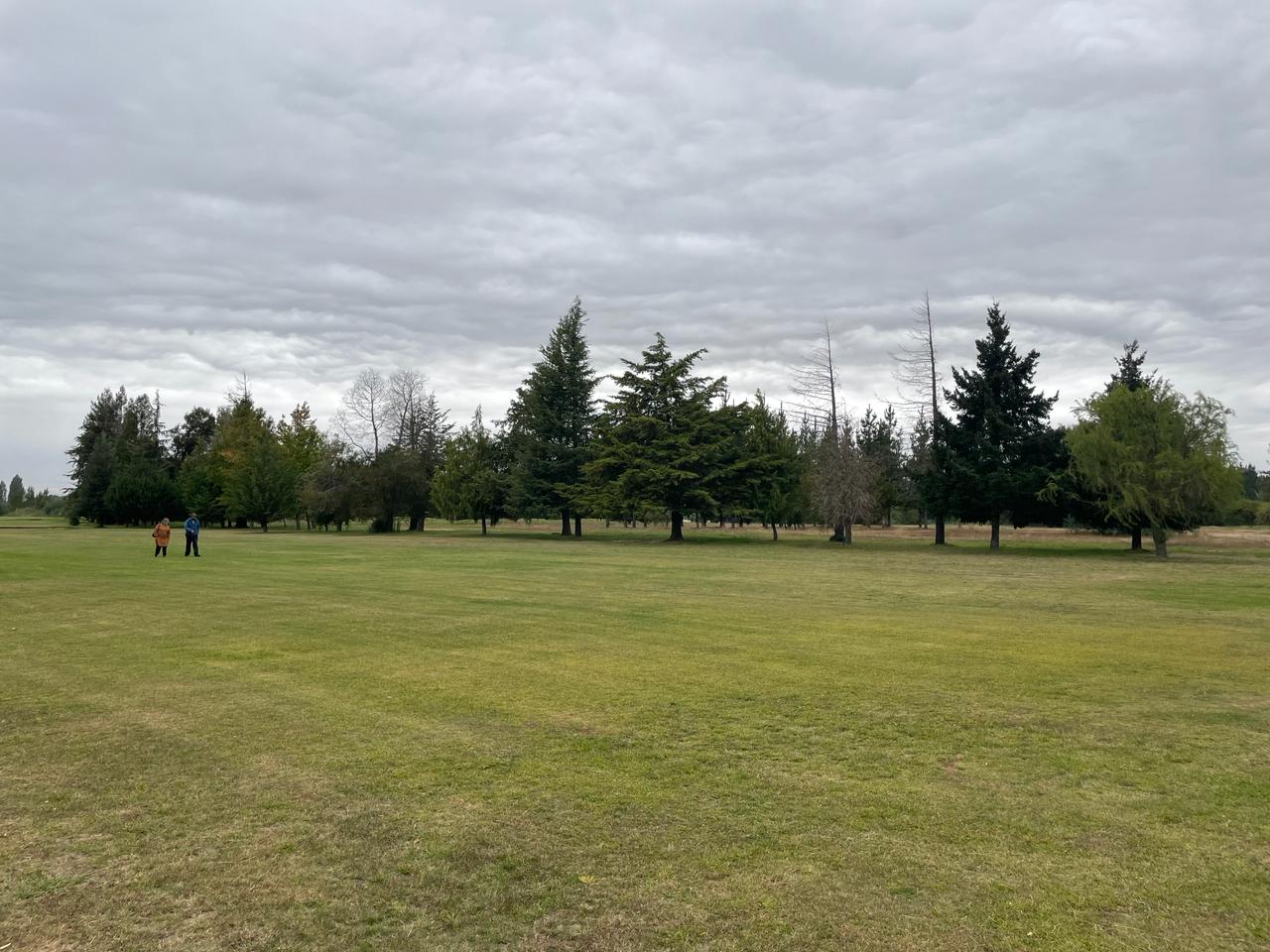 Campo de golf con aplicación de Pasto Verde