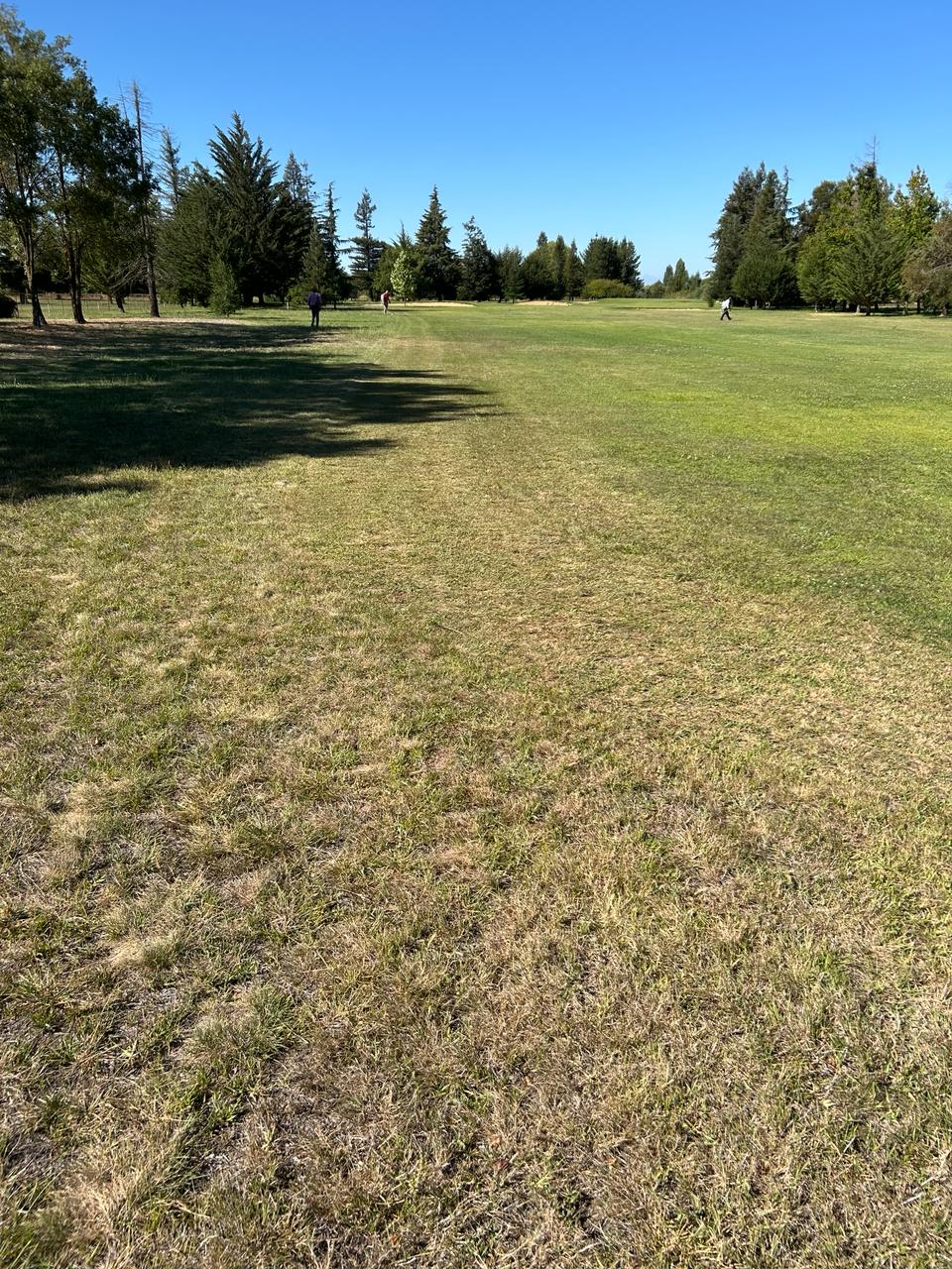 Campo de golf sin aplicación de Pasto Verde